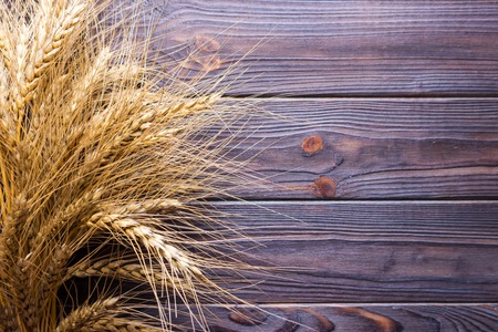 wheat grains on wooden plank background Harvest conceptの写真素材