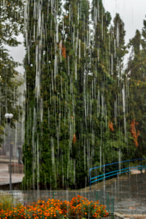 Rain drops fall continuously with blur green nature background.