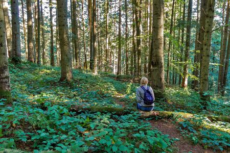 Girl traveler sits on a tree among the forest.の写真素材