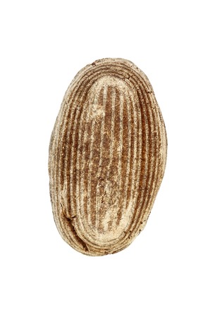 Black rye bread. Isolated on a white background. top view.