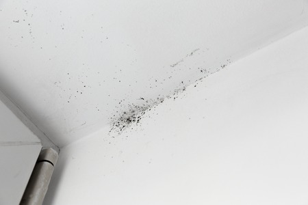mold in the corner of the window on a white wall Texture background.