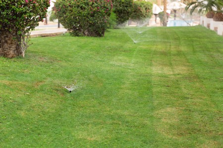 Sprinkler in garden watering the lawn. Automatic watering lawns concept.の写真素材