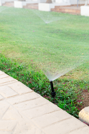 Sprinkler in garden watering the lawn. Automatic watering lawns concept.の写真素材
