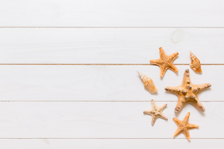 Flat lay of various seashell and starfish on white wooden table, top view. Copy space background, summer concept.の写真素材