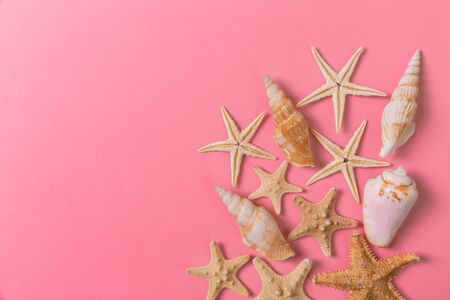A lot of seashells and starfishon pink background with copy space.の写真素材