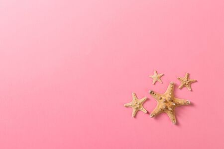 lot of seashells and many starfish on pink background.
