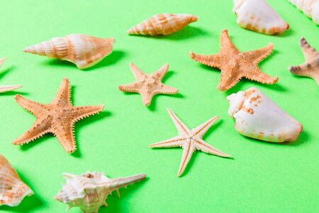 sea shells and starfish on a green background and sand. Vacation time concept.の写真素材