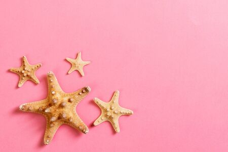 lot of seashells and many starfish on pink background.の写真素材