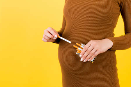 Close up of pregnant woman in brown dress taking a cigarette from a pack at yellow background. Unhealthy lifestyle during pregnancy. Smoking addiction.の写真素材
