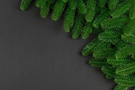 Top view of frame made of fir tree on colorful background with copy space. Merry Christmas concept.