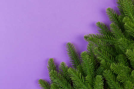 Top view of frame made of fir tree on colorful background with copy space. Merry Christmas concept.の写真素材