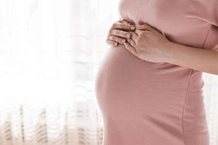 Pretty young pregnant woman standing by the window in home.