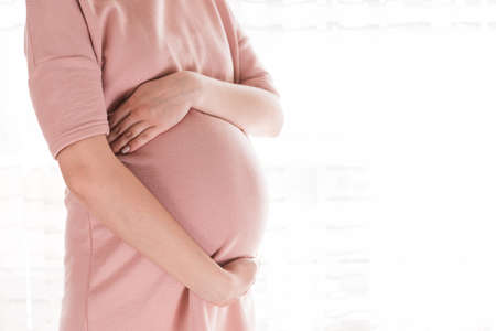 Pretty young pregnant woman standing by the window in home.