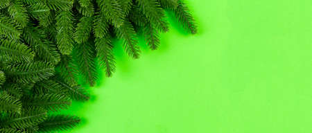 Banner Top view of colorful festive background made of fir tree branch. Christmas holiday concept...