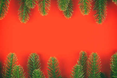 Top view of frame made of fir tree on colorful background with copy space. Merry Christmas concept.
