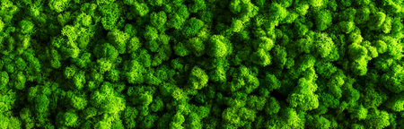 decorative moss for interior decoration. design moss elements background clodse up.