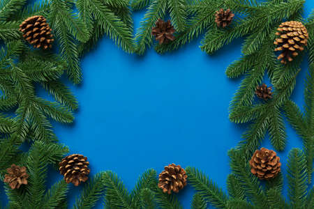 Christmas holiday background with copy space for advertising text. Fir branches and pine cone on color background. Flat lay, top view.の写真素材