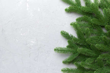 Christmas holiday background with copy space for advertising text. Fir branches on color background....