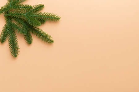 Christmas holiday background with copy space for advertising text. Fir branches on color background. Flat lay, top view.の写真素材