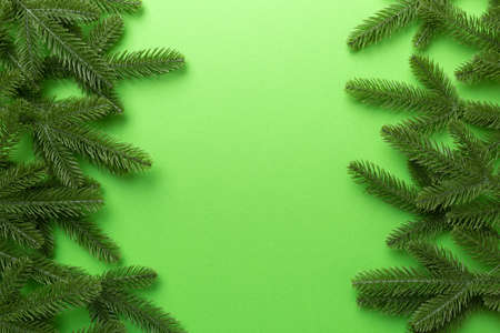 Christmas holiday background with copy space for advertising text. Fir branches on color background. Flat lay, top view.の写真素材