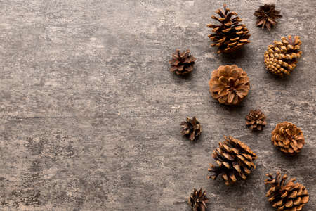 Christmas pine cones on colored paper border composition. Christmas, New Year, winter concept. Flat lay, top view, copy space.の写真素材