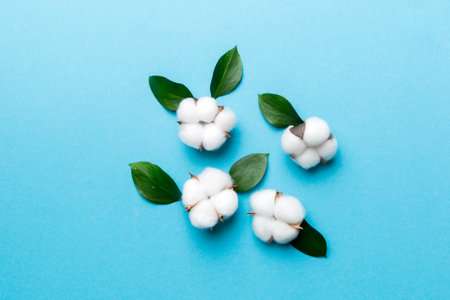 Autumn Floral Flat lay background composition. Dried white fluffy cotton flower branchwith green leaf top view on colored table with copy space.の写真素材
