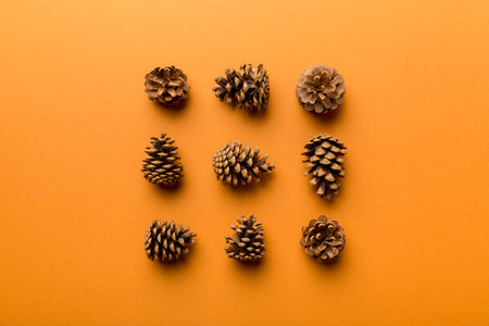 pine cones on colored table. natural holiday background with pinecones grouped together. Flat lay....