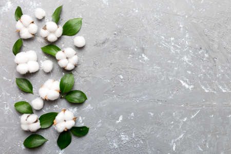 Autumn Floral Flat lay background composition. Dried white fluffy cotton flower branchwith green leaf top view on colored table with copy space.の写真素材
