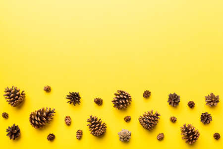 Christmas pine cones on colored paper border composition. Christmas, New Year, winter concept. Flat...