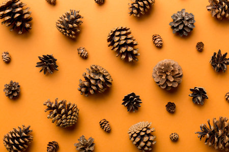 pine cones on colored table. natural holiday background with pinecones grouped together. Flat lay. Winter concept.の写真素材