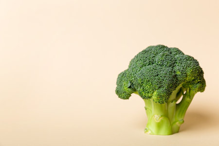 Fresh broccoli isolated on white backgroundの写真素材