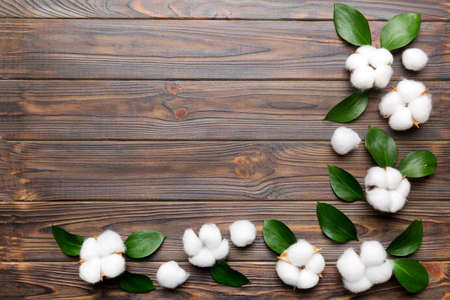 Autumn Floral Flat lay background composition. Dried white fluffy cotton flower branchwith green...
