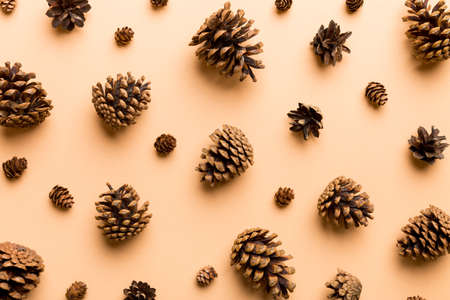 pine cones on colored table. natural holiday background with pinecones grouped together. Flat lay. Winter concept.の写真素材