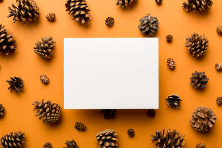 Creative frame made of Christmas pine cones with square Paper blank. Xmas and New Year theme. Flat lay, top view copy space.の写真素材