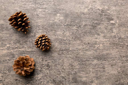 Christmas pine cones on colored paper border composition. Christmas, New Year, winter concept. Flat lay, top view, copy space.の写真素材