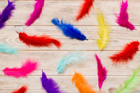 Close up to bright colorful feathers background. Colored feather background, top view.