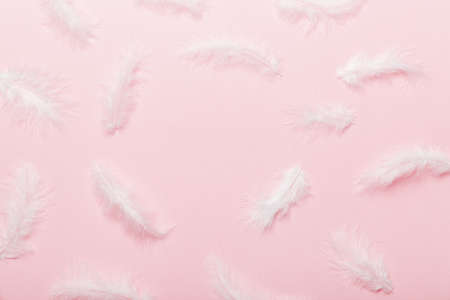 background of brightly colored dyed bird feathers on Colored background, top view. copyspace.の写真素材