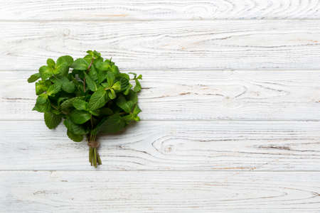 Mint leaf. Fresh mint on Colored background. Mint leaves isolated Top view with copy space.の写真素材
