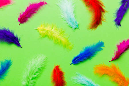 Close up to bright colorful feathers background. Colored feather background, top view.の写真素材
