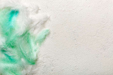 background of brightly colored dyed bird feathers on Colored background, top view. copyspace.の写真素材