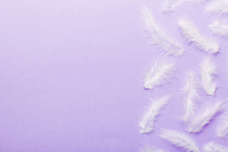 background of brightly colored dyed bird feathers on Colored background, top view. copyspace.の写真素材