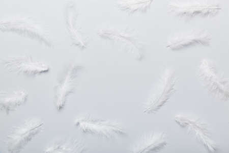 Frame of brightly colored dyed bird feathers on Colored background, top view.の写真素材