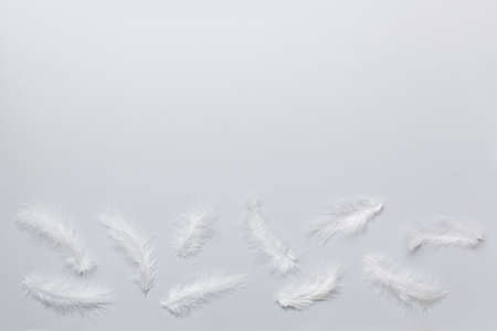 background of brightly colored dyed bird feathers on Colored background, top view. copyspace.