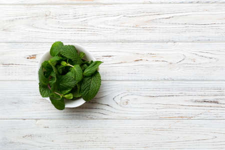 Mint leaf. Fresh mint on Colored background. Mint leaves isolated Top view with copy space.の写真素材