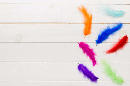 background of brightly colored dyed bird feathers on Colored background, top view. copyspace.の写真素材