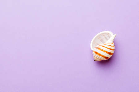 Summer time concept Flat lay composition with beautiful starfish and sea shells on colored table,...