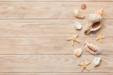 Summer time concept Flat lay composition with beautiful starfish and sea shells on colored table, top view with copy space for text.の写真素材