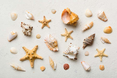 Summer time concept Flat lay composition with beautiful starfish and sea shells on colored table,...