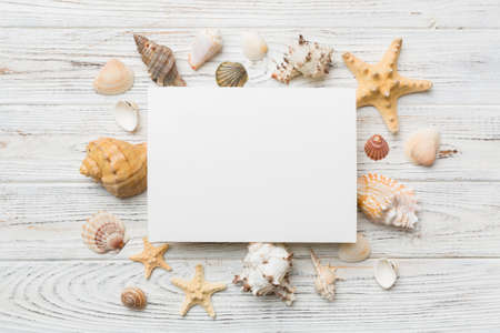 Summer time concept with blank greeting card and blank white paper on colored background. Seashells from ocean shore in the shape of frame separated with space for text top view.の写真素材