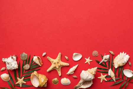 Summer time concept Flat lay composition with beautiful starfish and sea shells on colored table,...